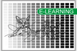 X_-ray Image with Tag.png