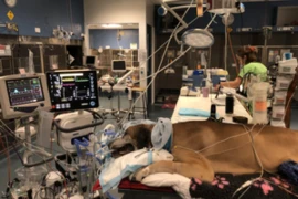Indications_for_mechanical_ventilation_300x200_1_300x200.png