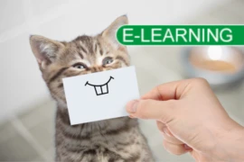 Dreissig Titelbild mit Logo.png