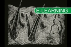 Derm 300x200 (1) w tag.jpg